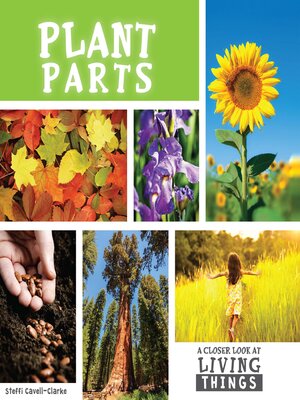 cover image of Plant Parts